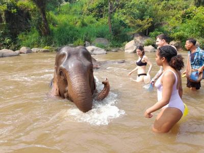 Paola and friends | Chiang Mai Trekking | Das beste Trekking in Chiang Mai mit Piroon Nantaya